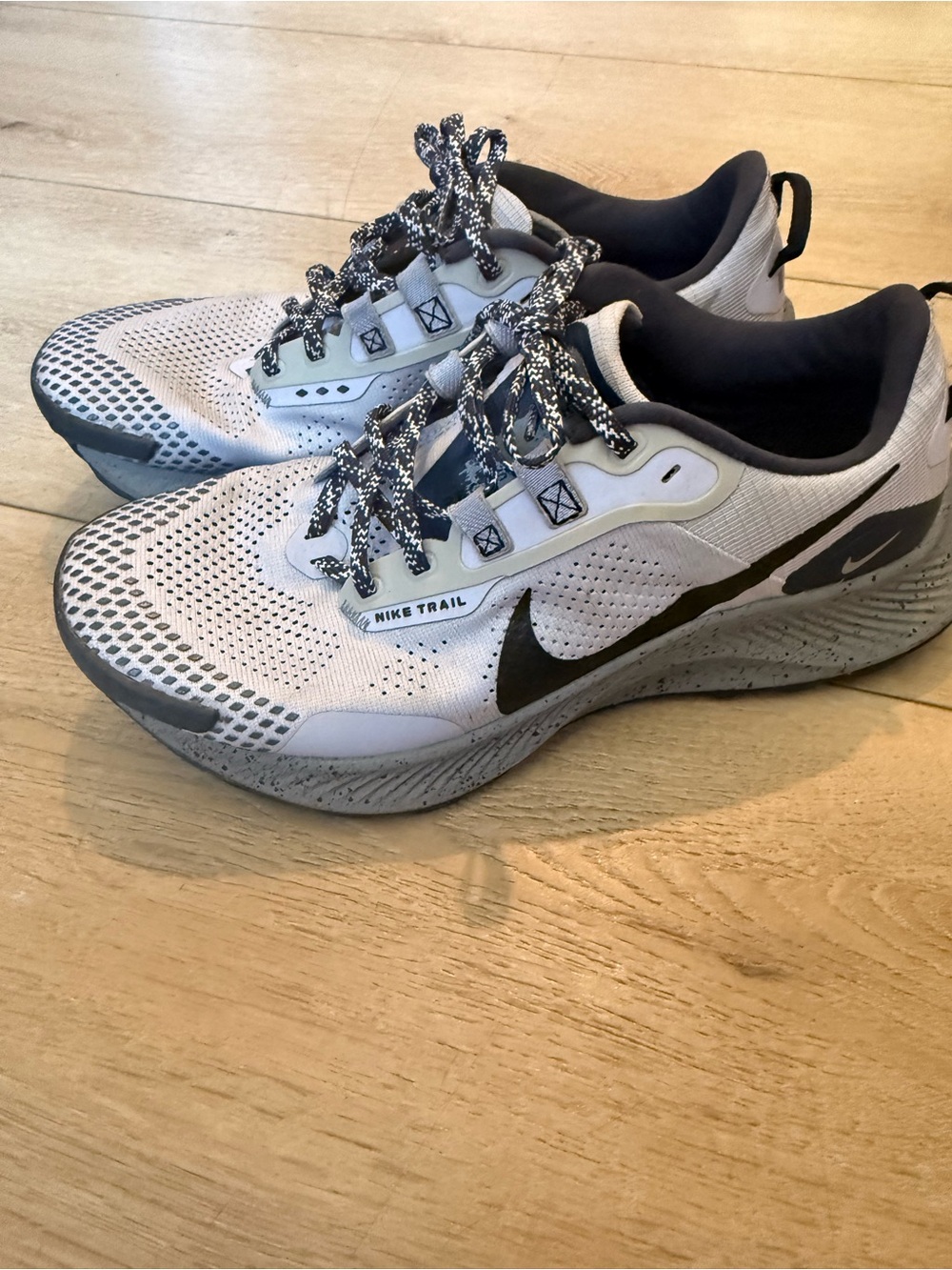 Nike Pegasus Trail 3 Ghost men's sneakers in a grey